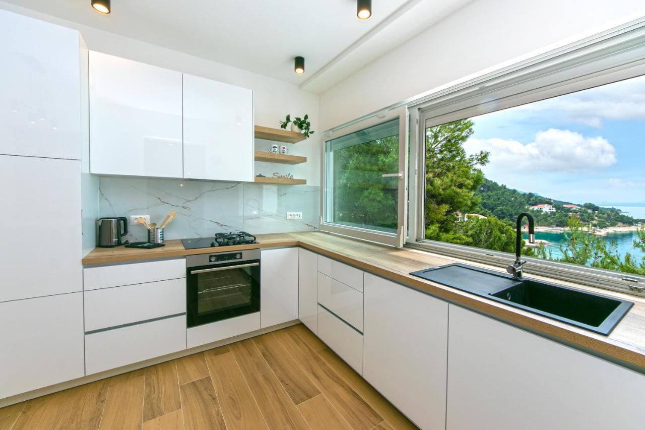 Apartment Vidra